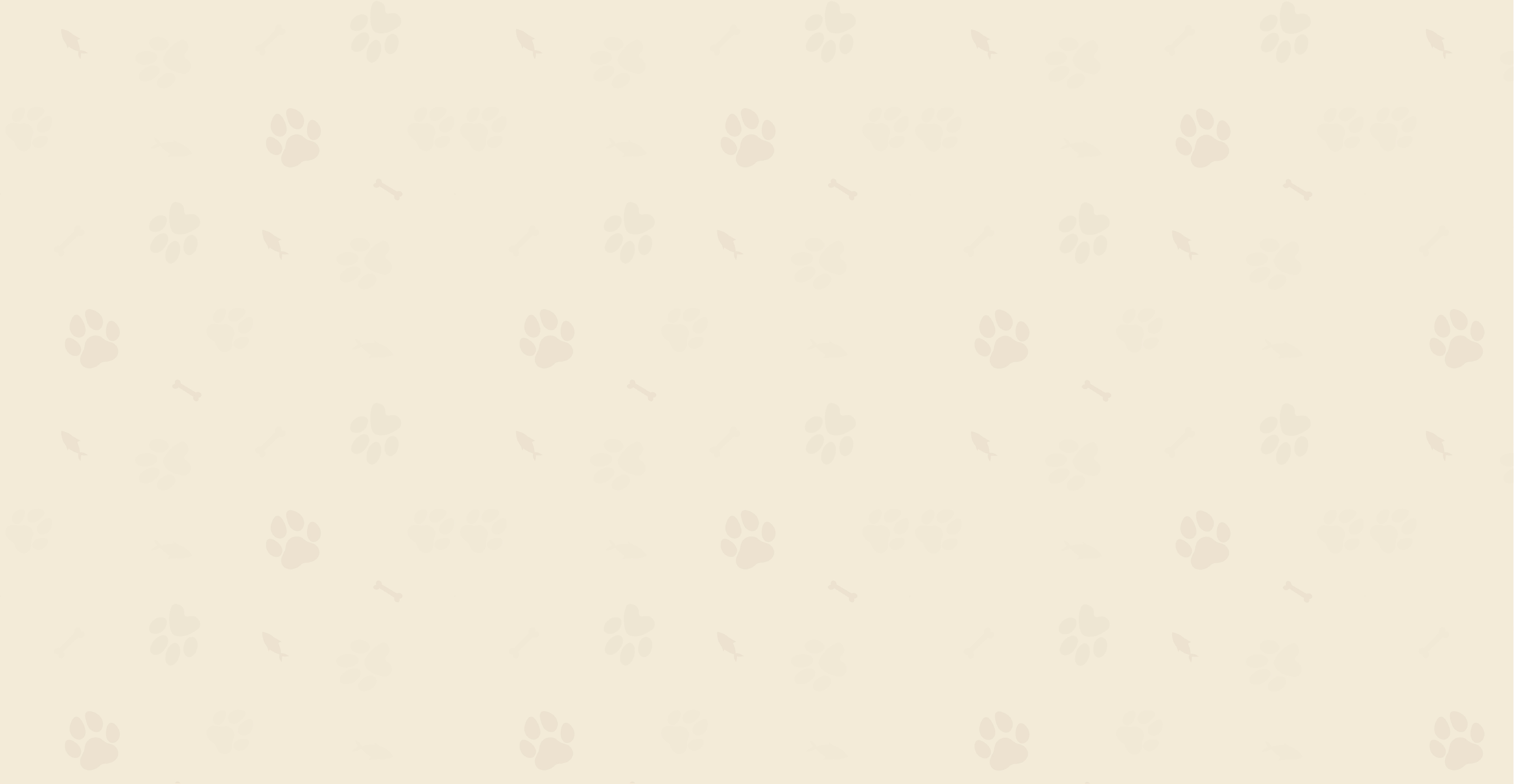 WoafMeow, the most caring AI friend for your pet